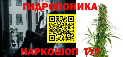 крисы Кинель