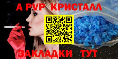крисы Кинель