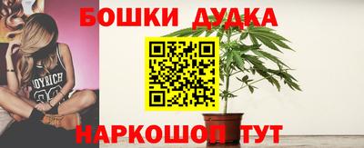 крисы Кинель