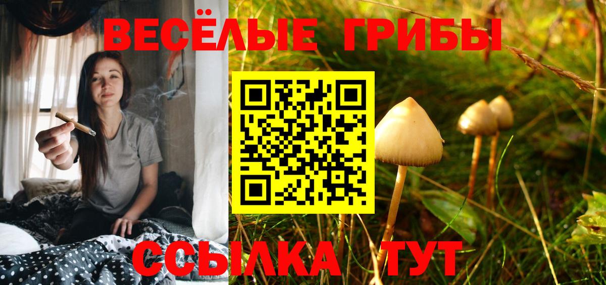 Галлюциногенные грибы Magic Shrooms  Вход с VPN  Майский 