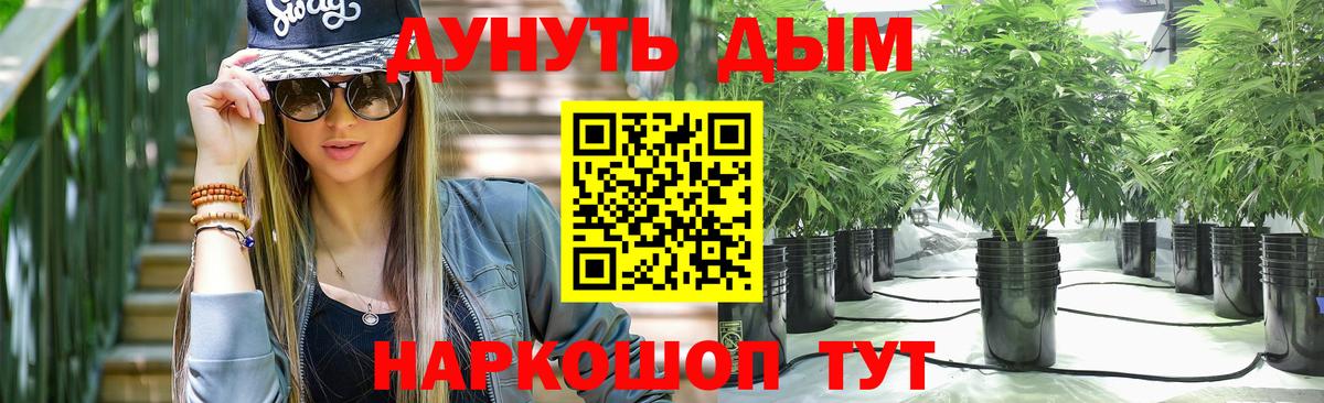 Конопля план  Шишки марихуана OG Kush  Вход с VPN  Майский  Бошки марихуана ГИДРОПОН  Конопля планчик 